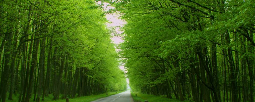 
            Фотография Фрунзенского