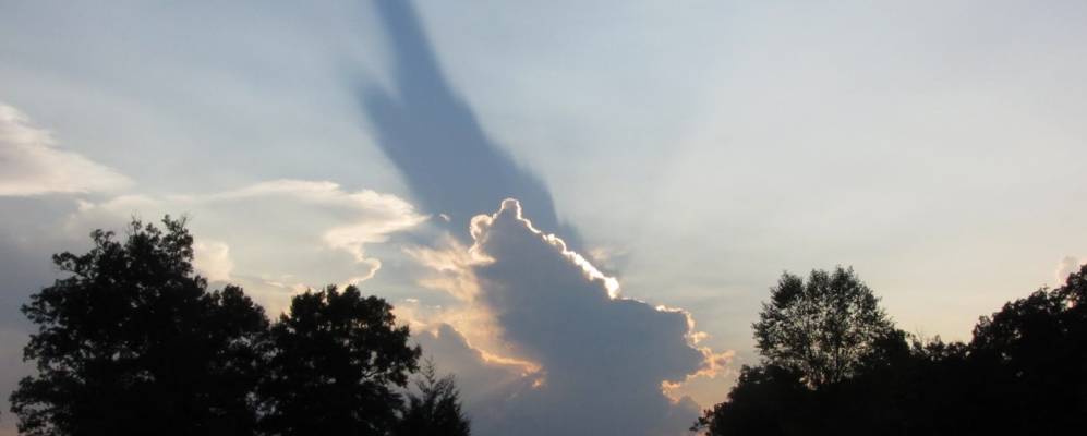 
            Фотография Шаннона