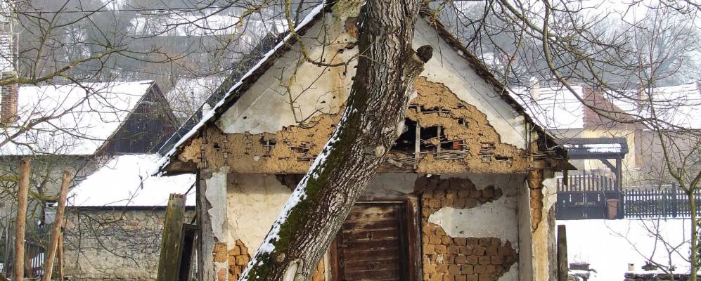 
            Фотография Ёжвафо