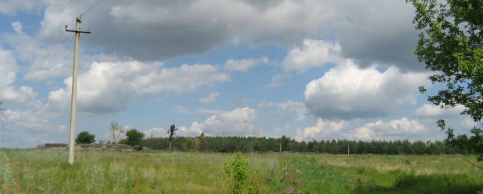 
            Фотография Старых Савинов