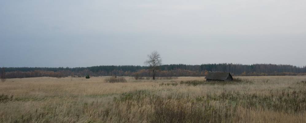 
            Фотография Ситовщины