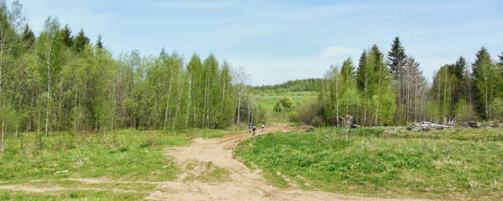 
            Фотография Понылков