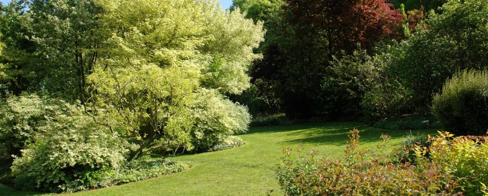 
            Фотография Аргуль