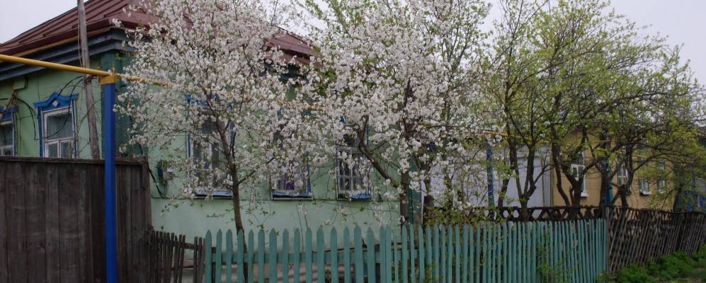 
            Фотография села Прилепы