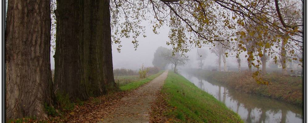 Фотография Анджари