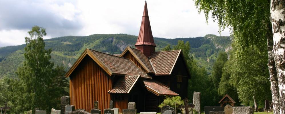 
            Фотография Rollag