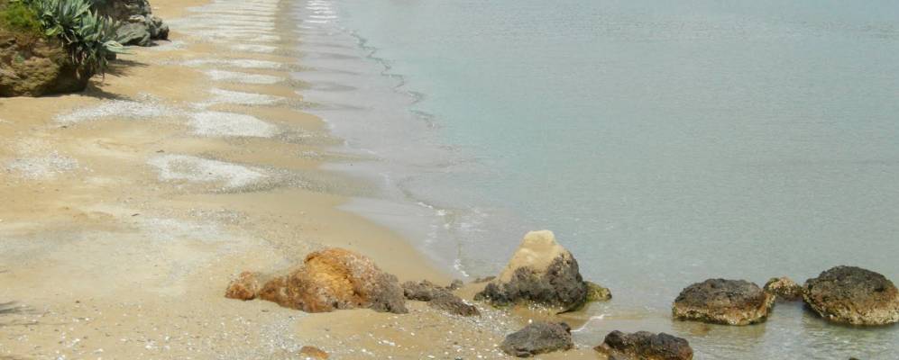 
            Фотография Скутариона