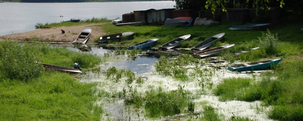 
            Фотография Залужья