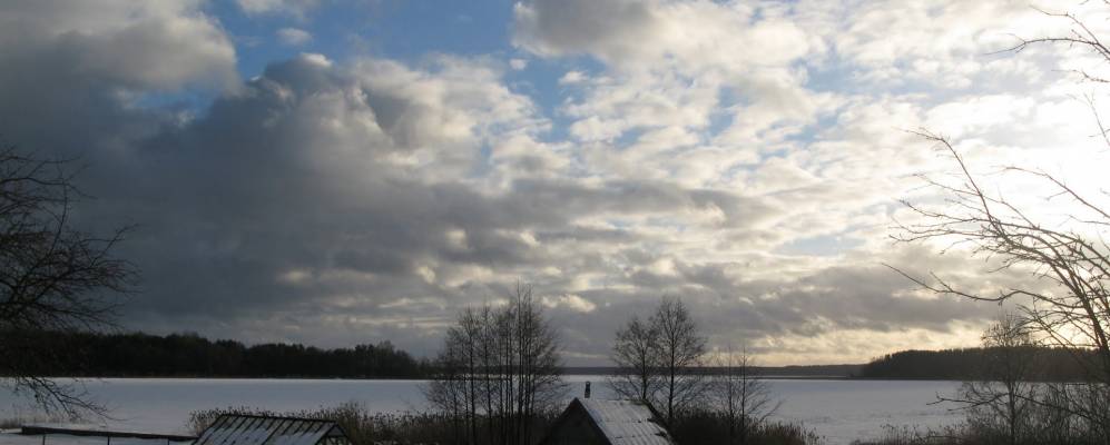 
            Фотография Березки