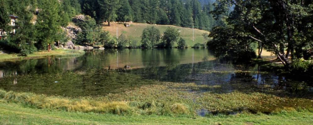 
            Фотография Вальтурнанша