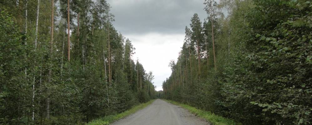 
            Фотография Гутчево