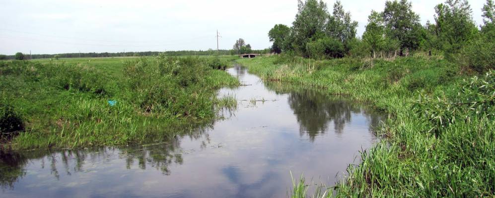 
            Фотография Сокола