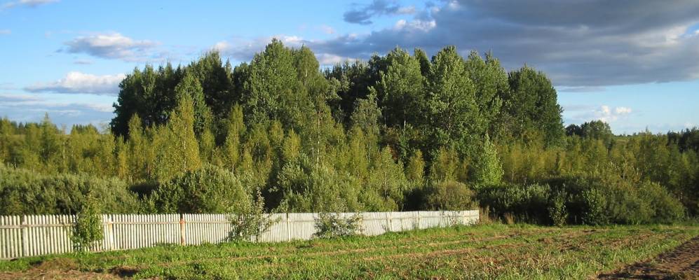 
            Фотография деревни Пентехи