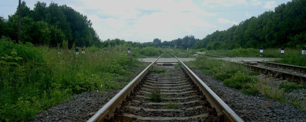 
            Фотография Красноселки