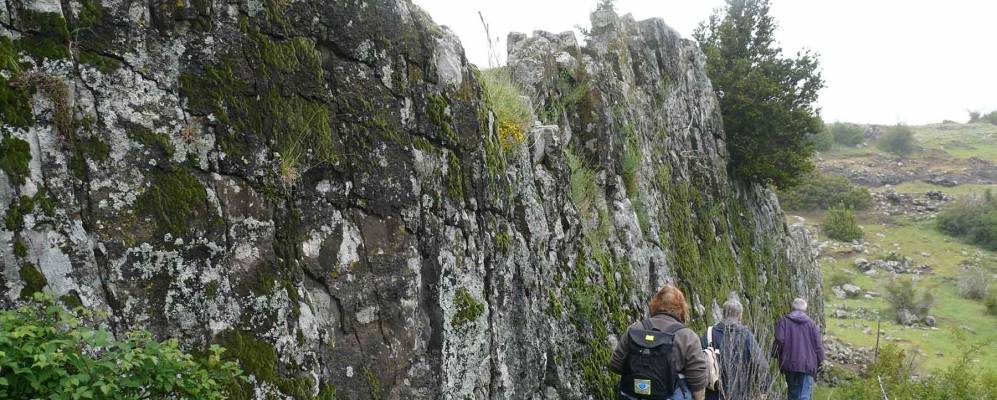 
            Фотография Рошессова