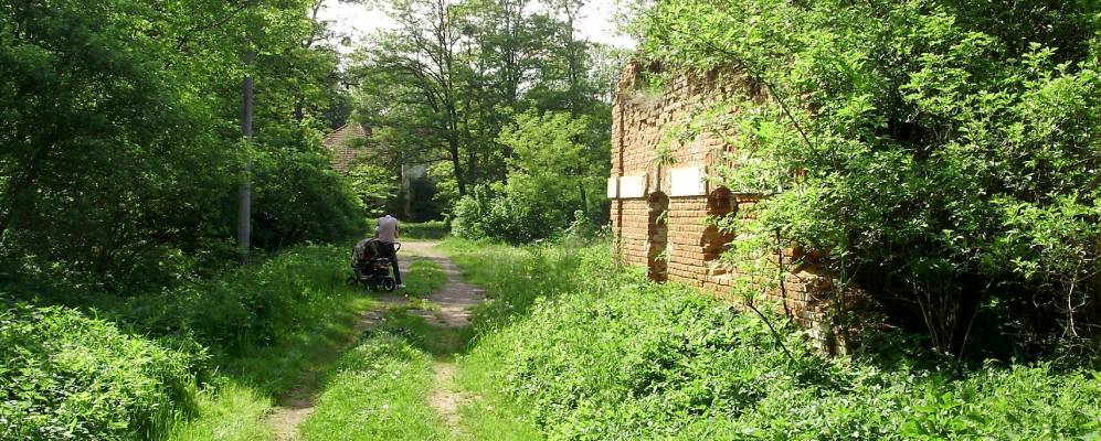 
            Фотография Черницы