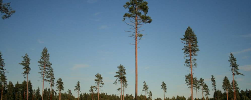 Фотография деревни Горовцы