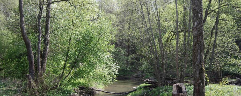 Фотография Усадья