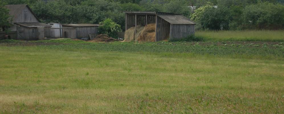 Фотография Дорогинки