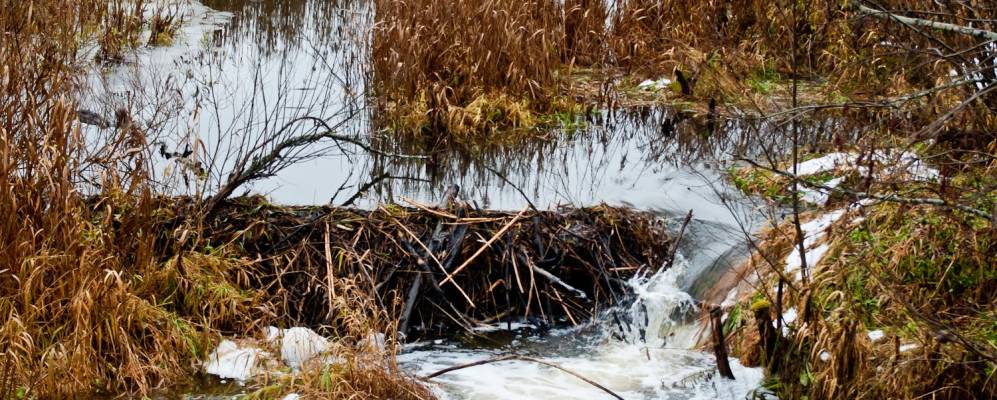 
            Фотография деревни Выходцы
