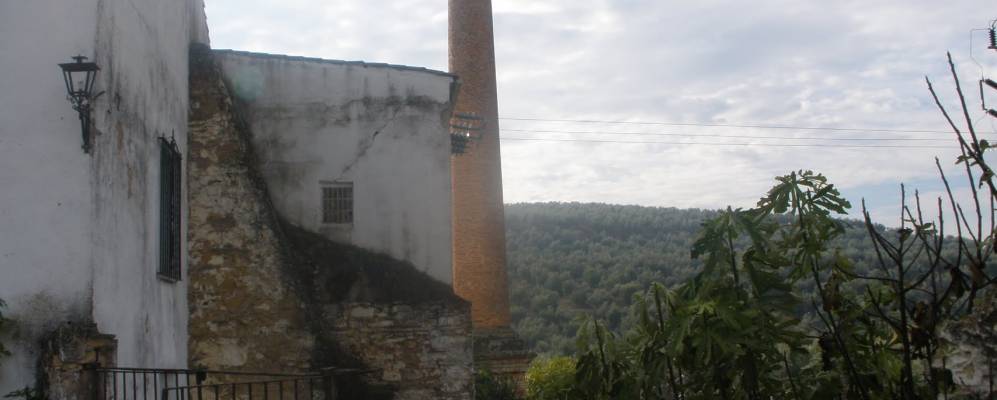 
            Фотография Лоперы