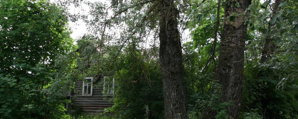 
            Фотография Заполья