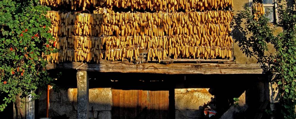 Фотография Сенлье