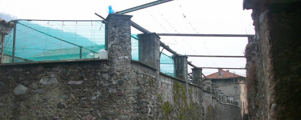 
            Фотография Артонье