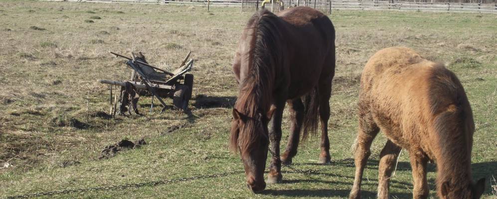 
            Фотография Степановки