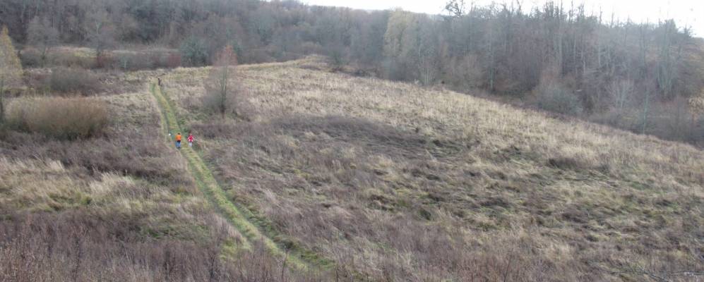 
            Фотография Бочаг