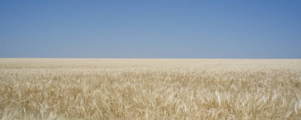 
            Фотография Шабельники