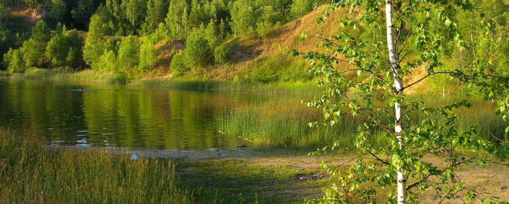 
            Фотография Никитино-Троицкого