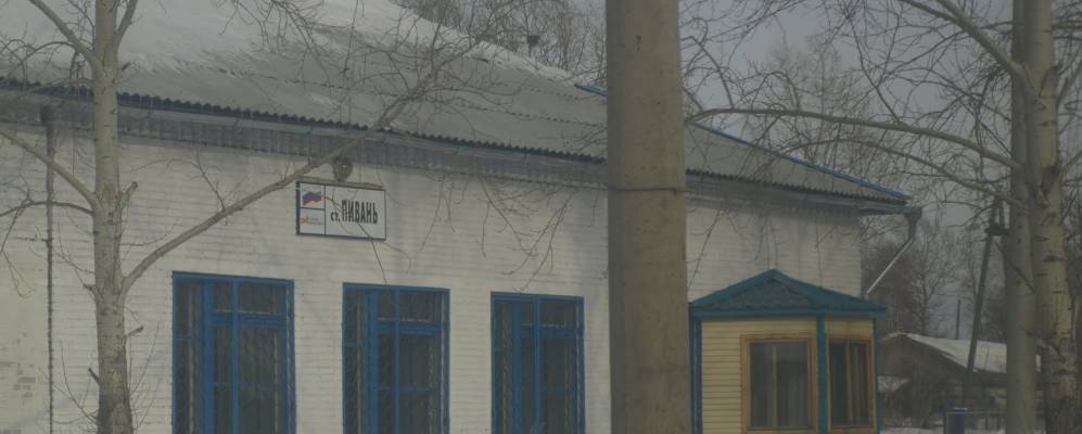 Фотография Пивани