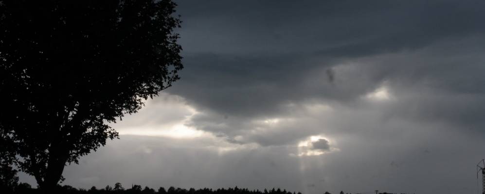 
            Фотография Даухингена