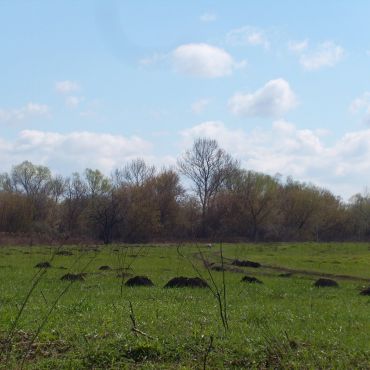 Константиновка