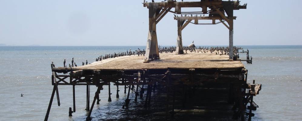 
            Фотография Писко