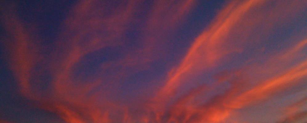 
            Фотография Вилламины