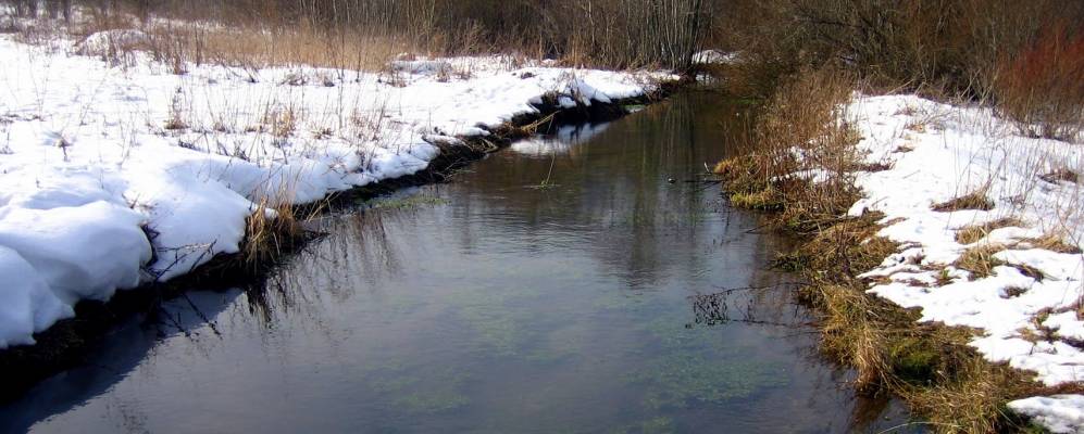 
            Фотография Большого Забородья