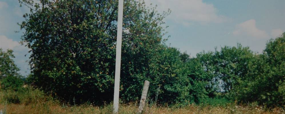 
            Фотография Рудни