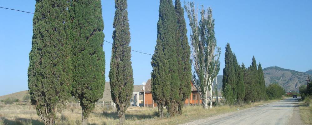 
            Фотография Прибрежного