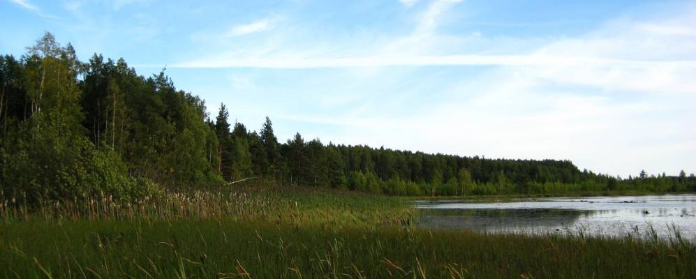 Фотография Серково