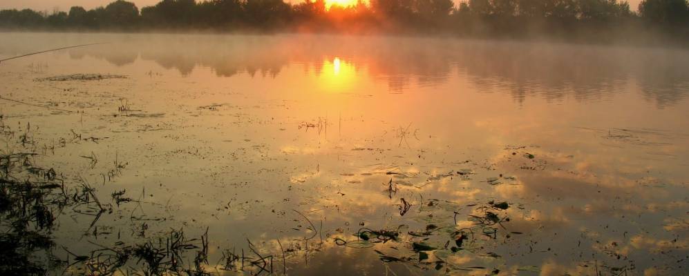 
            Фотография Аристово