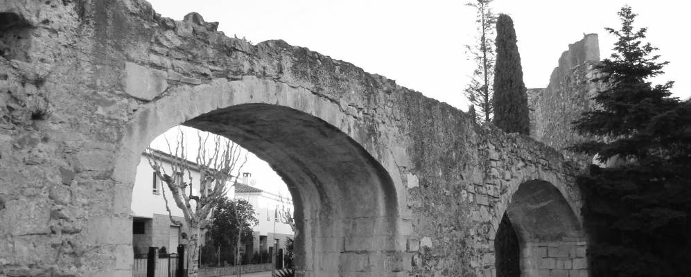 Фотография Ла Сельвы