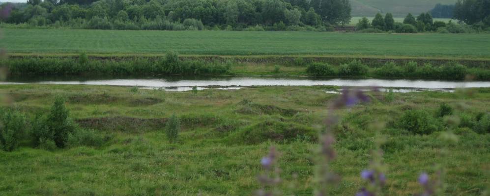 Фотография Новых Бавлов