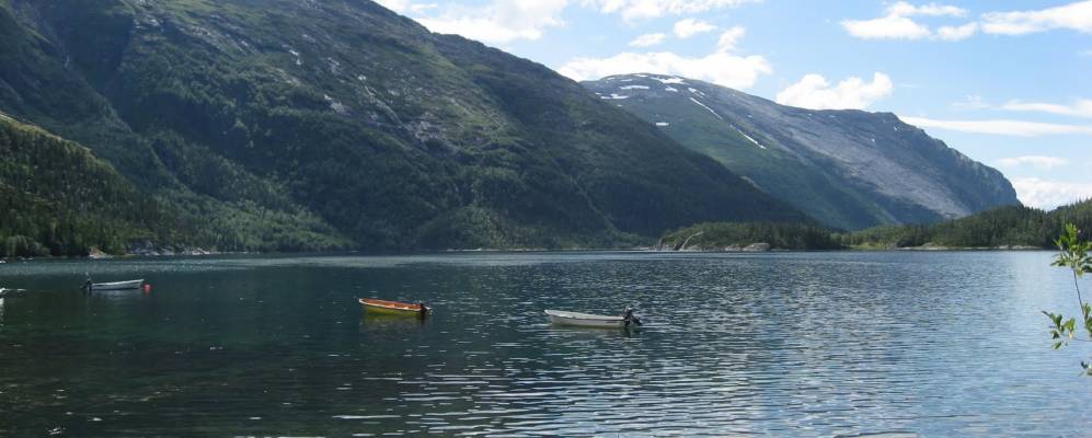 
            Фотография Tosbotnet