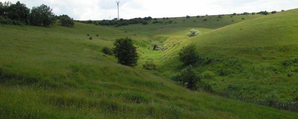 
            Фотография Посохово