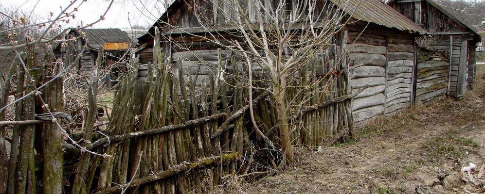 Фотография Курино