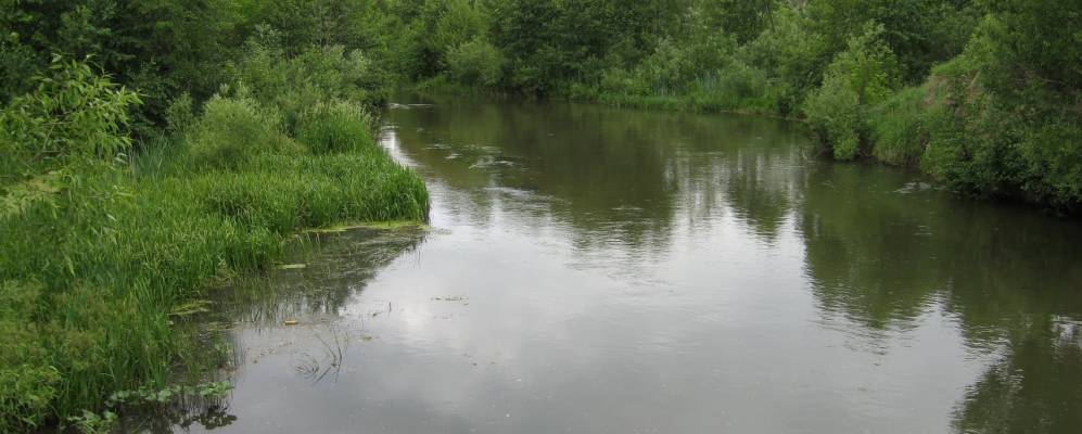 
            Фотография Серпового