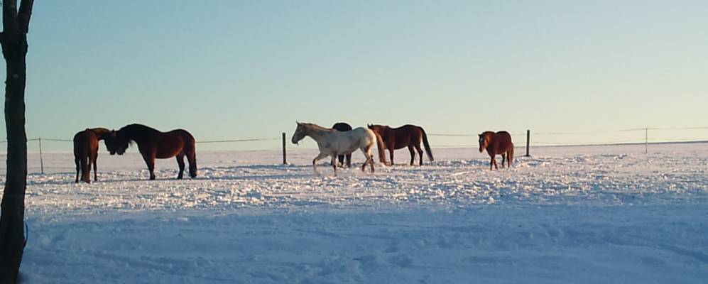 
            Фотография Бернрида