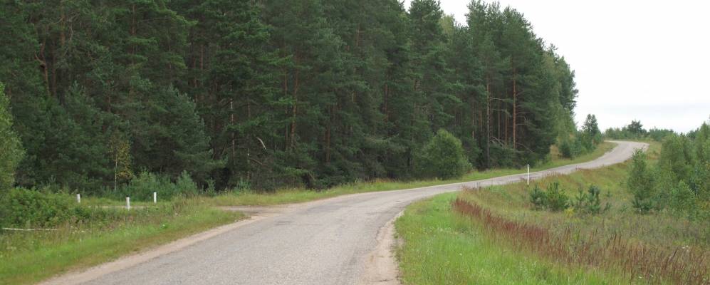 
            Фотография Яйцово